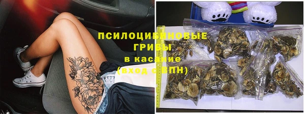 кокс Киров